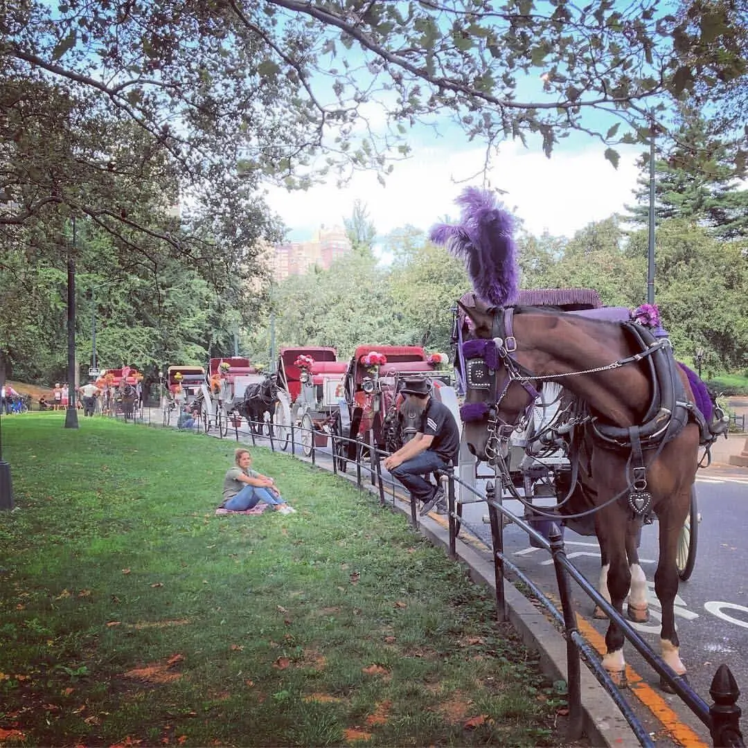 NYC Horse & Carriage Rides in Central Park