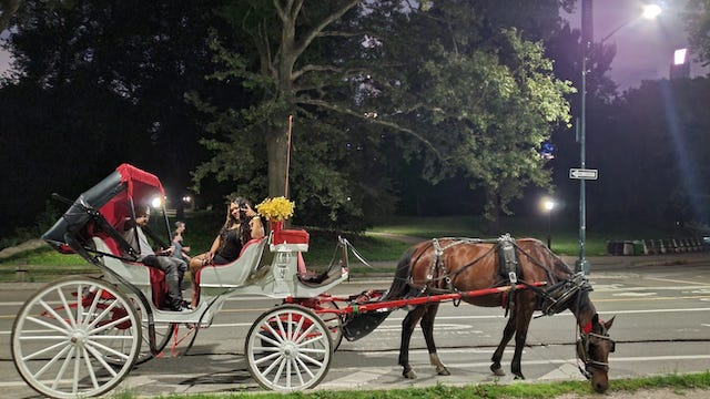 Taking Horse Carriage Ride During The Christmas Season