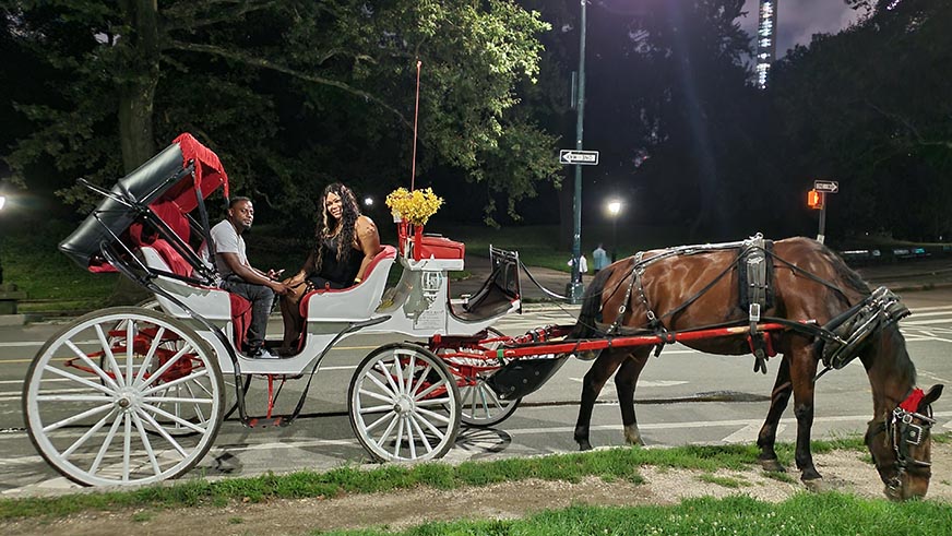 Horse Carriage Tour